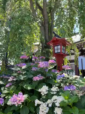 川越八幡宮(埼玉県)