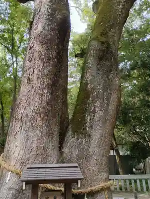 伊弉諾神宮(兵庫県)