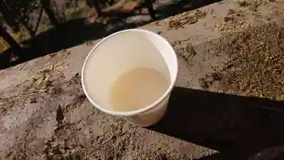 唐澤山神社の食事