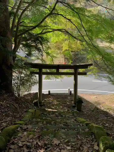 日吉神社の鳥居