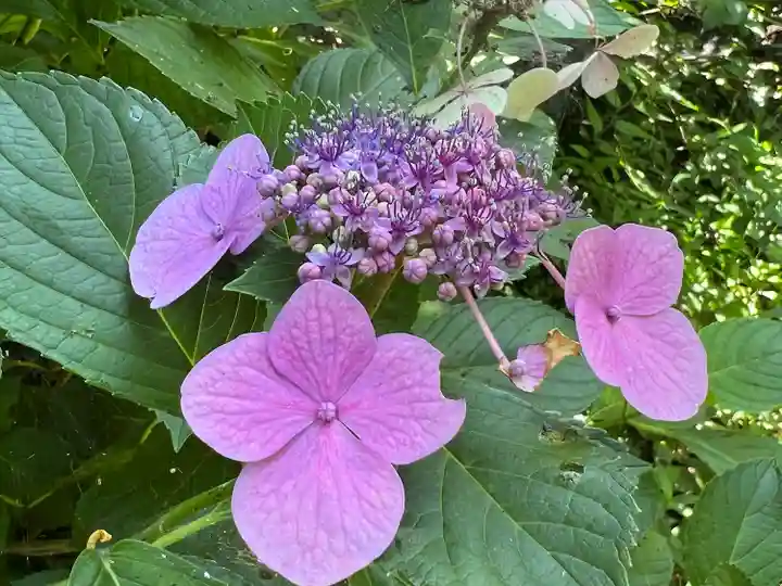 志度寺(香川県)