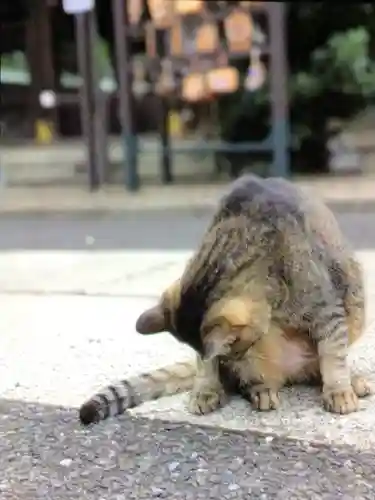 白金氷川神社(東京都)