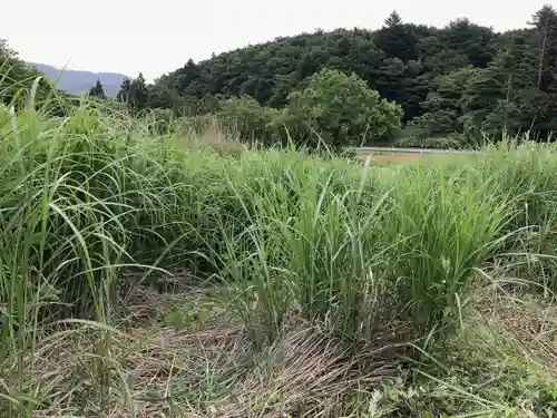 高司神社〜むすびの神の鎮まる社〜(福島県)