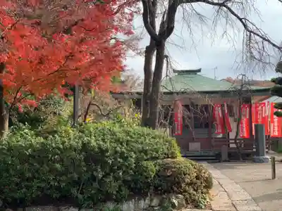 玉林寺の本殿・本堂