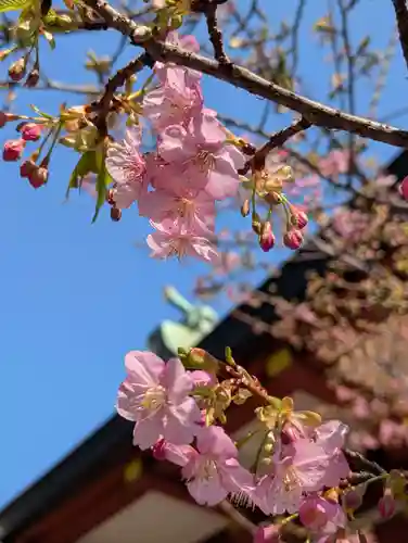 東神奈川熊野神社(神奈川県)