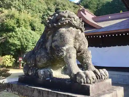 橘神社の狛犬