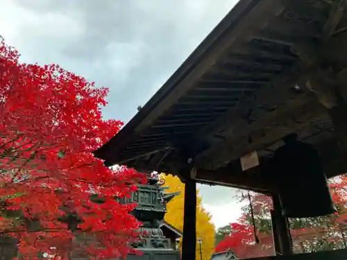 大山寺(神奈川県)