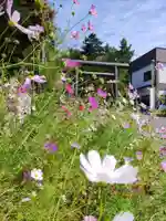 浦河神社(北海道)