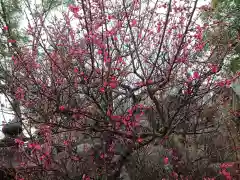 岡崎天満宮の自然