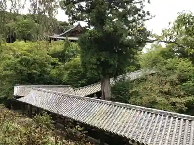 長谷寺のその他建物