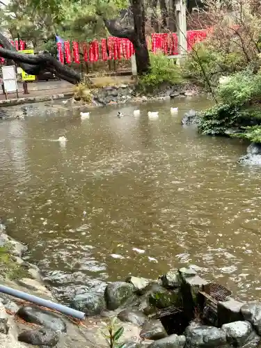 鶴峯山稲荷社（平塚八幡宮境内社）(神奈川県)