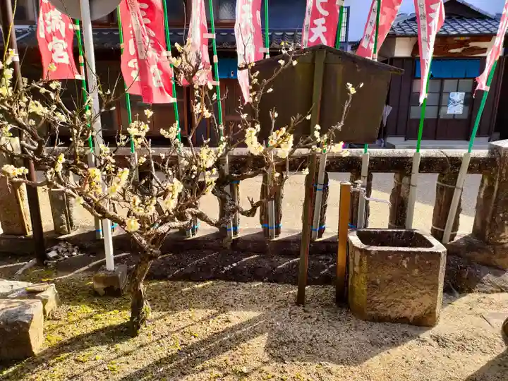 厳邑天満宮の自然