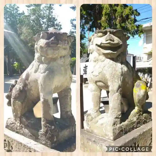 春日神社の狛犬