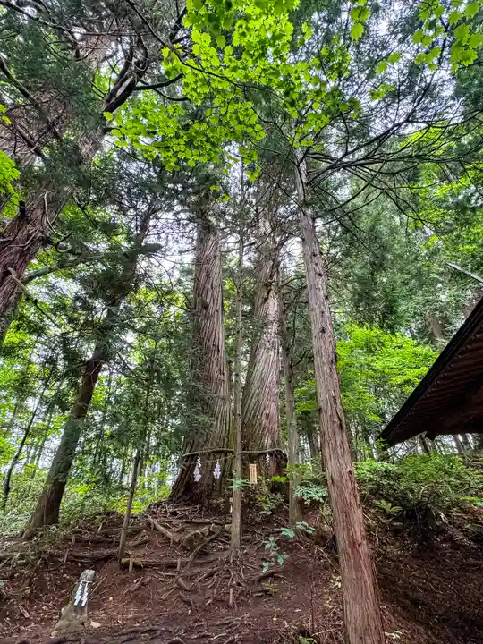 戸隠神社火之御子社(長野県)