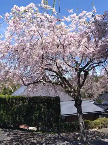 三明院(京都府)