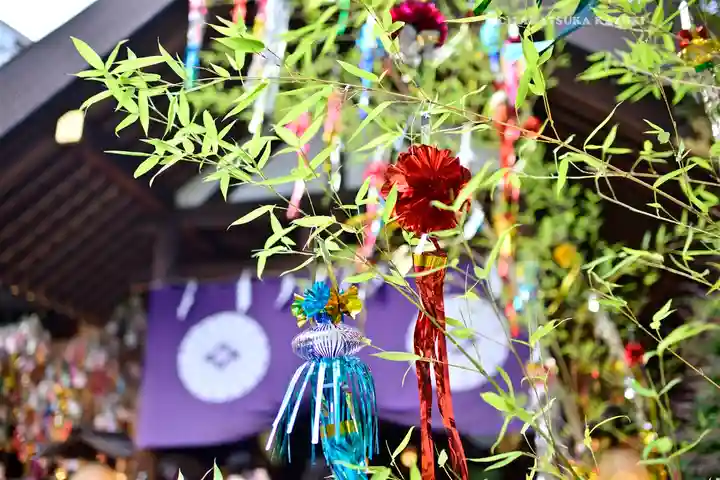 東京大神宮(東京都)