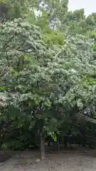 花岡神社(三重県)