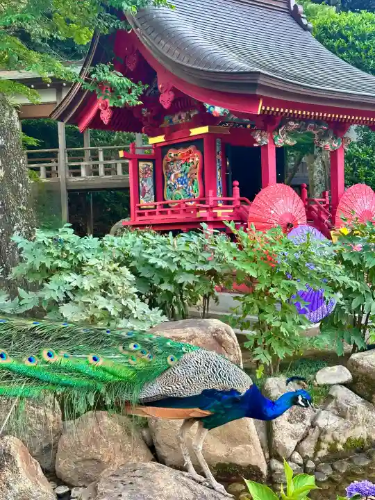 楽法寺(雨引観音)(茨城県)