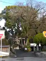 若一王子宮(高知県)