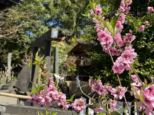 素盞雄神社の{uncategorized: "未分類", other: "その他", undefined: "問題あり", building: "その他建物", grave: "お墓", sacred_gate: "鳥居", guardian: "狛犬", statue: "像", buddha: "仏像", history: "歴史", nature: "自然", garden: "庭園", animal: "動物", pagoda: "塔", temizu: "手水舎", mountain_gate: "山門・神門", sanctuary: "本殿・本堂", subordinate: "末社・摂社", art: "芸術", scenery: "景色", jizo: "地蔵", ema: "絵馬", goshuin: "御朱印", omikuji: "おみくじ", items: "授与品その他", amulet: "お守り", goshuincho: "御朱印帳", eats: "食事", festival: "お祭り", votive_dance: "神楽", shichigosan: "七五三参", wedding: "結婚式", experience: "体験その他", initially: "初詣", around: "周辺", anti_infection: "感染症対策"}