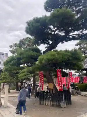 葛井寺(大阪府)