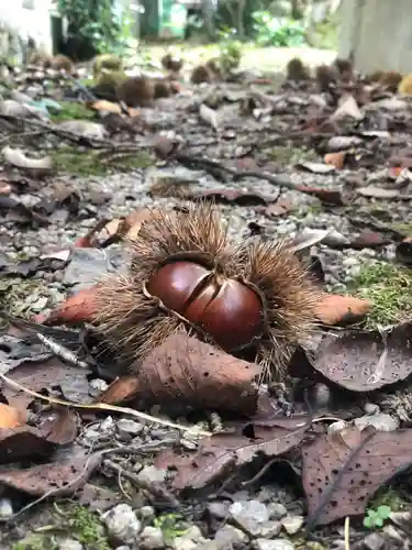木舟山　順教寺の自然