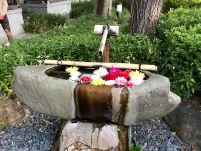 伊和志津神社の手水舎