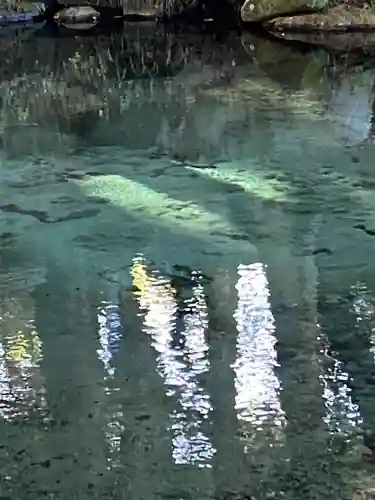 泉神社(茨城県)