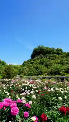 金蛇水神社(宮城県)