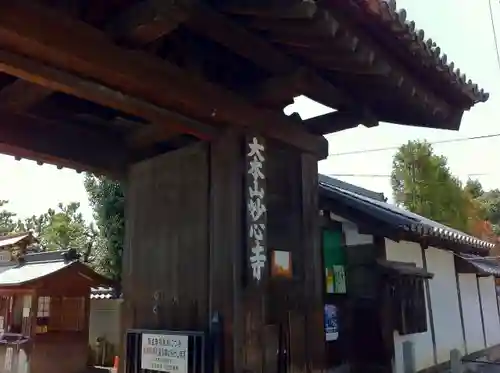 妙心寺（妙心禅寺）の山門