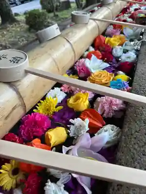 群馬県護国神社(群馬県)