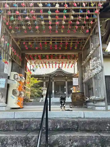 大室山龍渓院の山門