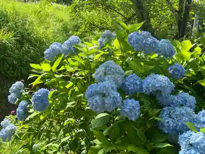 国宝 大法寺(長野県)