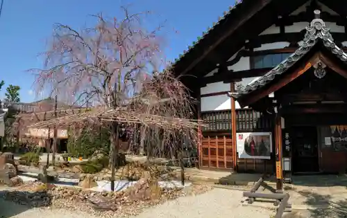 妙蓮寺(京都府)