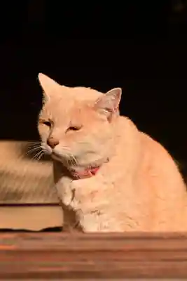 百済寺(滋賀県)