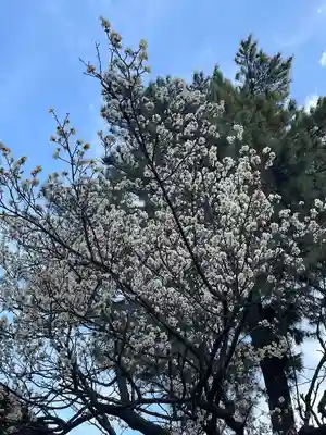 田端神社(東京都)