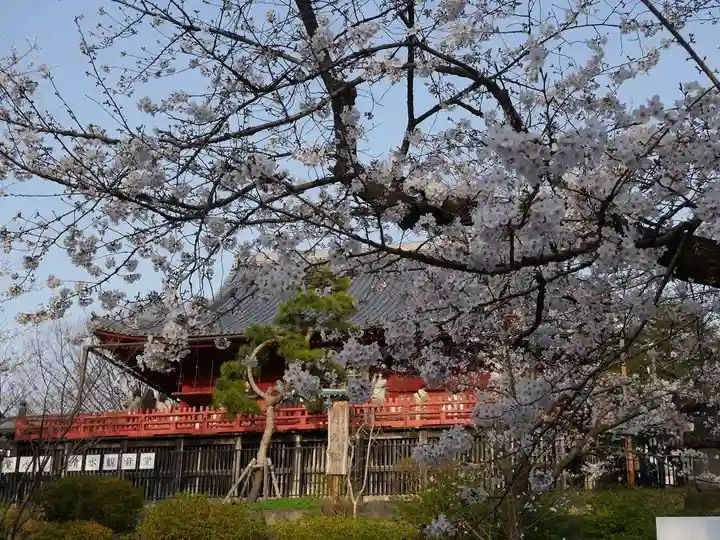 清水観音堂の自然