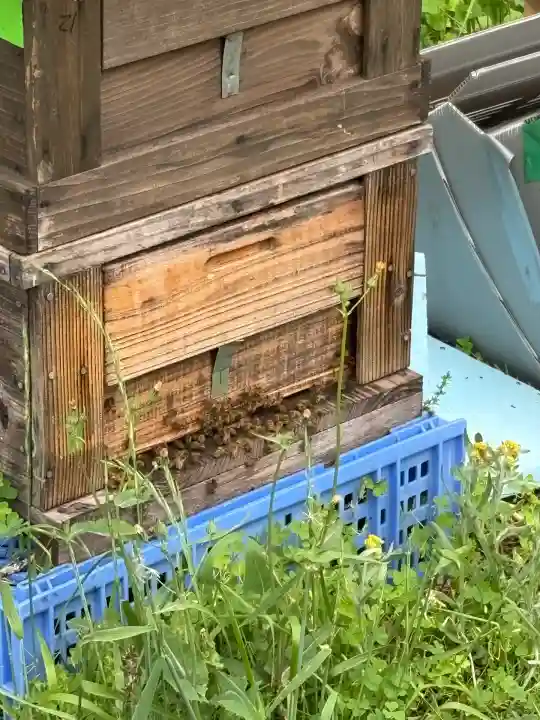 金蛇水神社(宮城県)