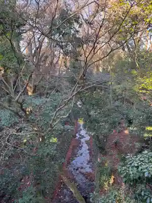 東福禅寺(東福寺)(京都府)