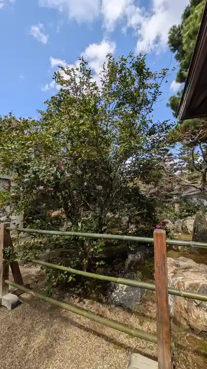 御香宮神社(京都府)