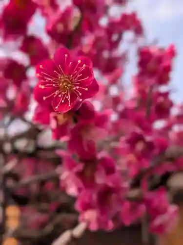 鳳林寺(東京都)