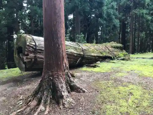 名草神社の自然