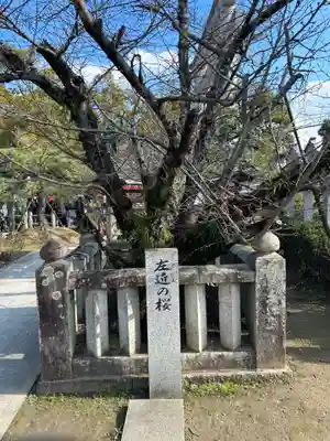 田村神社(香川県)