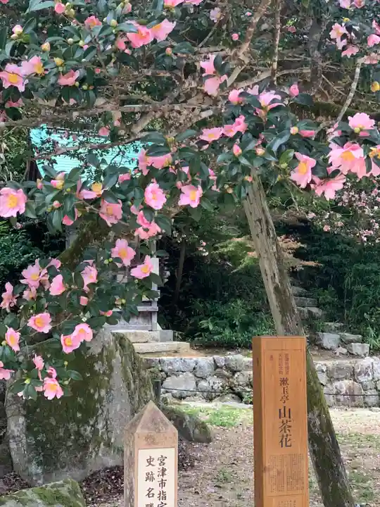 山王宮日吉神社(京都府)