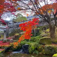 古峯神社の自然