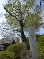 等覚院(神奈川県)