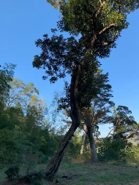 白山神社の自然