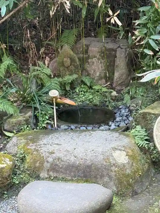 瑞泉寺の{uncategorized: "未分類", other: "その他", undefined: "問題あり", building: "その他建物", grave: "お墓", sacred_gate: "鳥居", guardian: "狛犬", statue: "像", buddha: "仏像", history: "歴史", nature: "自然", garden: "庭園", animal: "動物", pagoda: "塔", temizu: "手水舎", mountain_gate: "山門・神門", sanctuary: "本殿・本堂", subordinate: "末社・摂社", art: "芸術", scenery: "景色", jizo: "地蔵", ema: "絵馬", goshuin: "御朱印", omikuji: "おみくじ", items: "授与品その他", amulet: "お守り", goshuincho: "御朱印帳", eats: "食事", festival: "お祭り", votive_dance: "神楽", shichigosan: "七五三参", wedding: "結婚式", experience: "体験その他", initially: "初詣", around: "周辺", anti_infection: "感染症対策"}