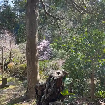 光則寺(神奈川県)