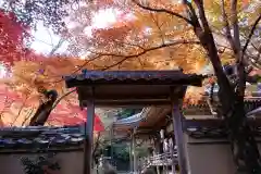 勝持寺（花の寺）(京都府)